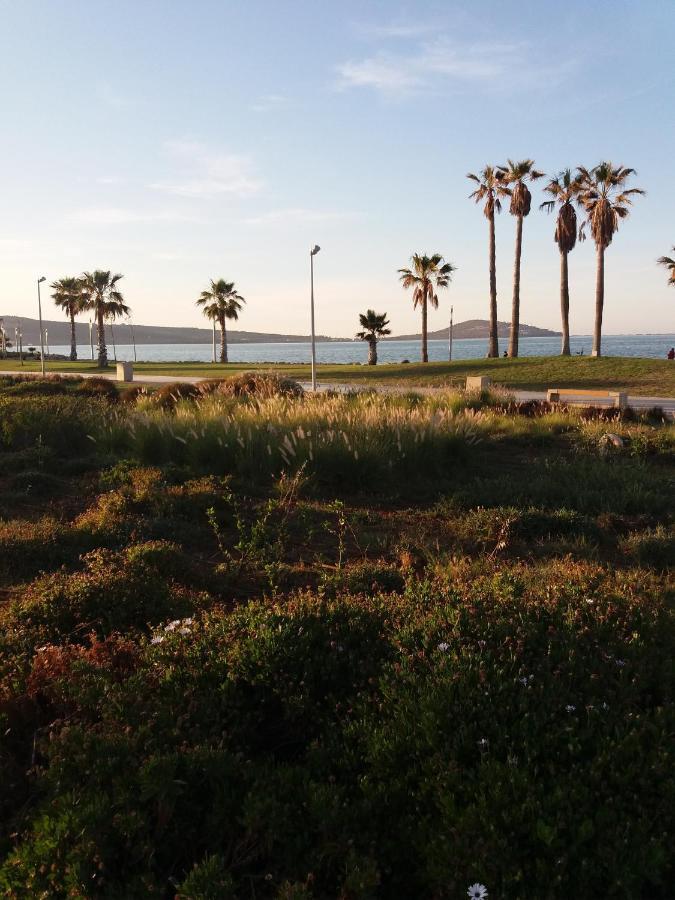 Apartment Nador Rif מראה חיצוני תמונה